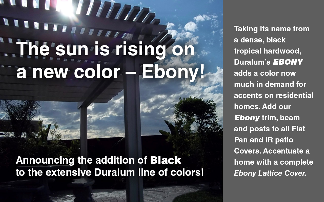 New Ebony/Black Color