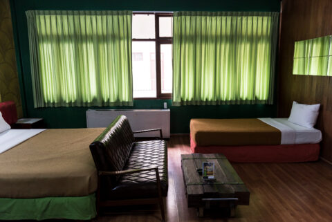 Are Screened-In Rooms Good for Homes With Pets and Kids?